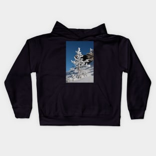 Snow covered Coniferous tree on a hill in winter season. Kids Hoodie